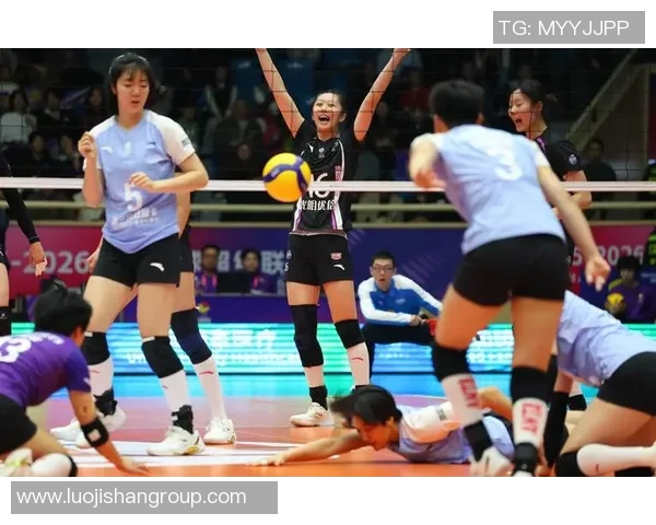 排球团队协作实力榜单揭晓上海排球队荣获第四名佳绩