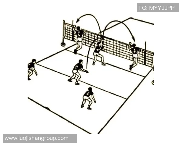 排球战术深度解析:走进杭州排球队的训练与比赛策略 排球战术深度解析:走进杭州排球队的训练与比赛策略