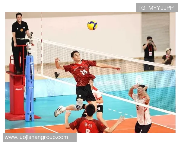 排球盛宴:深入了解杭州排球队的默契与协作精神 排球盛宴:深入了解杭州排球队的默契与协作精神