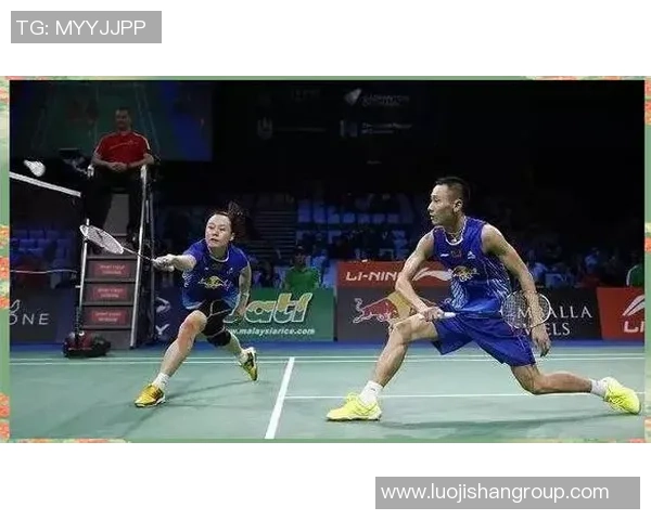 探秘北京羽毛球队的区域防守战术与技巧深度解析