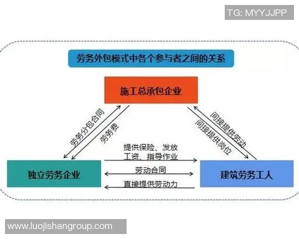 排球专题分析西安排球队实力与战术布局的深度探讨